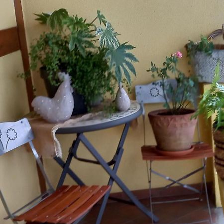 S'Gleina Gleck, In The Heart Of A Wine City, Charmant Studio 1 Piece Et 1 Salle De Bain Kaysersberg-Vignoble Εξωτερικό φωτογραφία