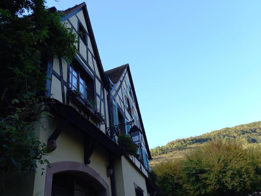 S'Gleina Gleck, In The Heart Of A Wine City, Charmant Studio 1 Piece Et 1 Salle De Bain Kaysersberg-Vignoble Εξωτερικό φωτογραφία
