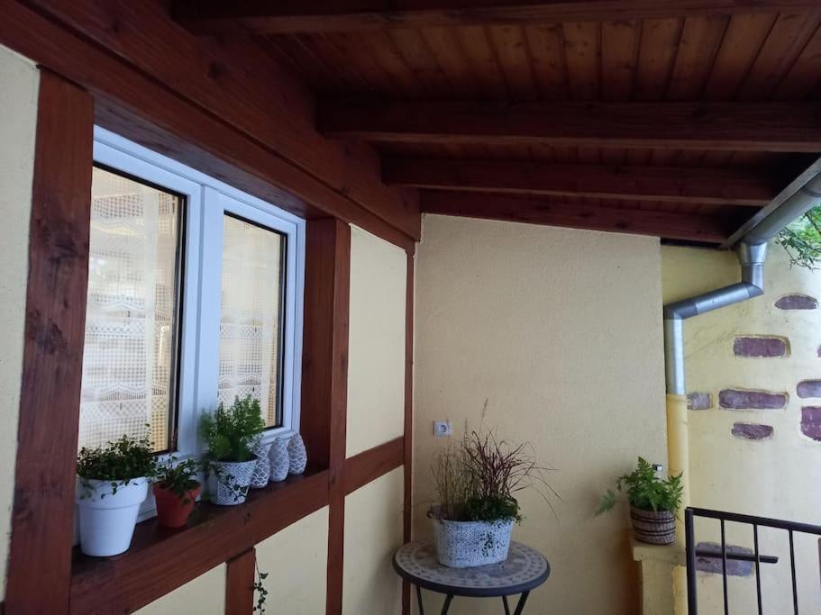 S'Gleina Gleck, In The Heart Of A Wine City, Charmant Studio 1 Piece Et 1 Salle De Bain Kaysersberg-Vignoble Εξωτερικό φωτογραφία