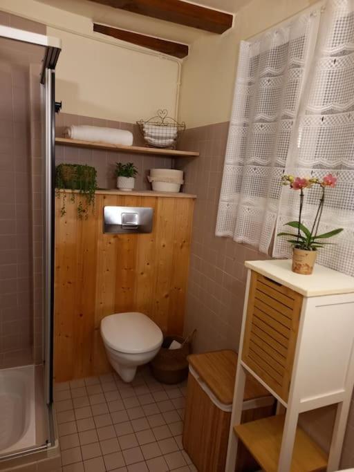 S'Gleina Gleck, In The Heart Of A Wine City, Charmant Studio 1 Piece Et 1 Salle De Bain Kaysersberg-Vignoble Εξωτερικό φωτογραφία