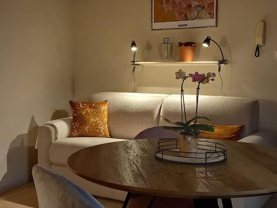 S'Gleina Gleck, In The Heart Of A Wine City, Charmant Studio 1 Piece Et 1 Salle De Bain Kaysersberg-Vignoble Εξωτερικό φωτογραφία
