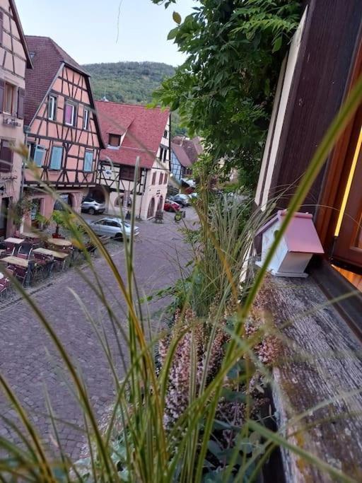 S'Gleina Gleck, In The Heart Of A Wine City, Charmant Studio 1 Piece Et 1 Salle De Bain Kaysersberg-Vignoble Εξωτερικό φωτογραφία