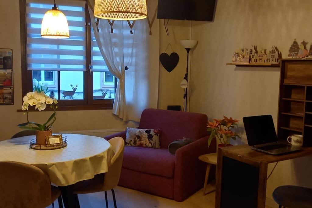 S'Gleina Gleck, In The Heart Of A Wine City, Charmant Studio 1 Piece Et 1 Salle De Bain Kaysersberg-Vignoble Εξωτερικό φωτογραφία