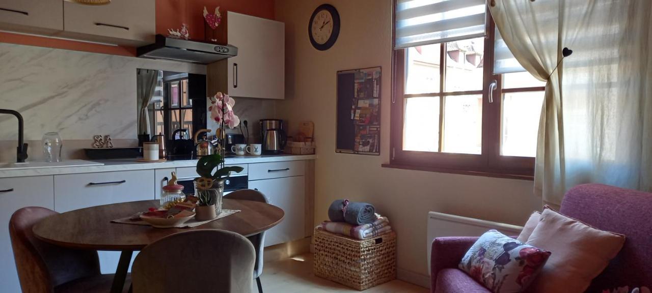 S'Gleina Gleck, In The Heart Of A Wine City, Charmant Studio 1 Piece Et 1 Salle De Bain Kaysersberg-Vignoble Εξωτερικό φωτογραφία