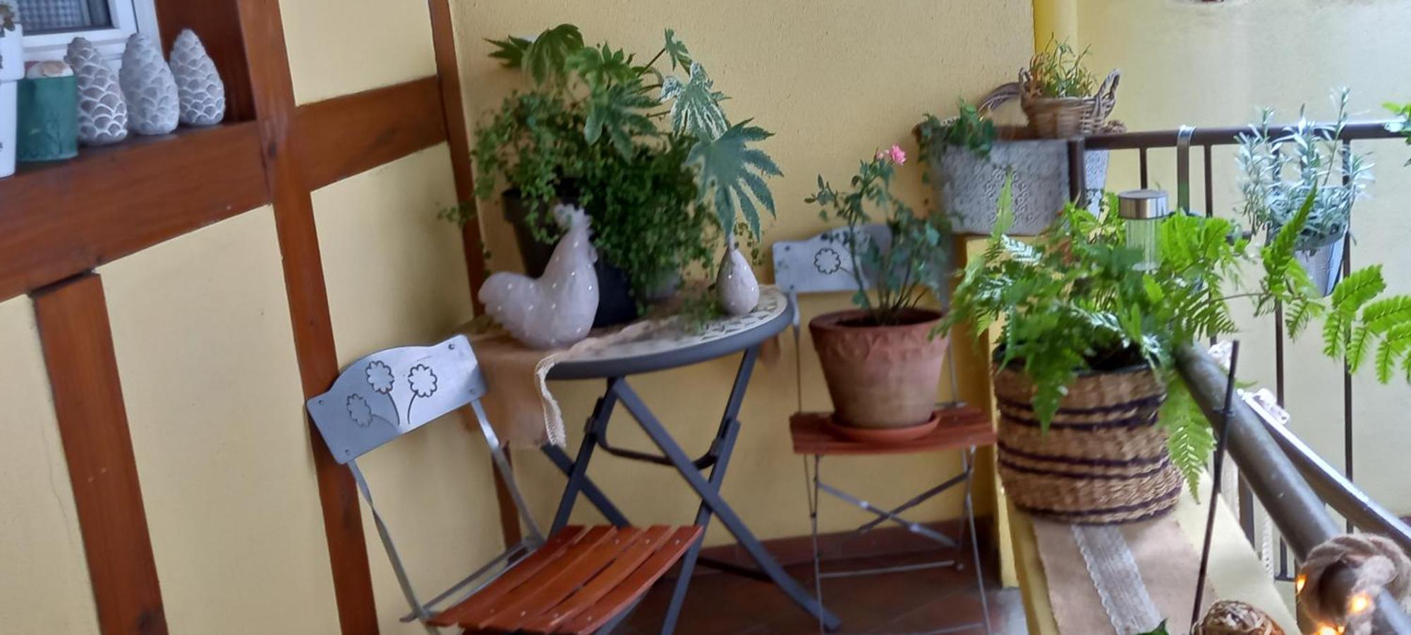 S'Gleina Gleck, In The Heart Of A Wine City, Charmant Studio 1 Piece Et 1 Salle De Bain Kaysersberg-Vignoble Εξωτερικό φωτογραφία